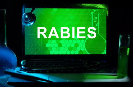 Kenali Gejala Rabies pada Manusia