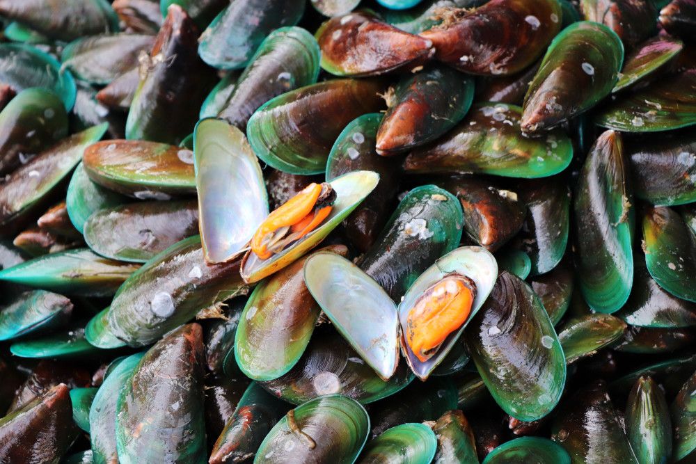 Makanan Penyebab Asam Urat Bisa Picu Penyakit Ginjal?