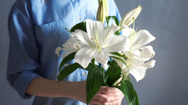 Ini Dia Ciri-ciri Vagina Perawan