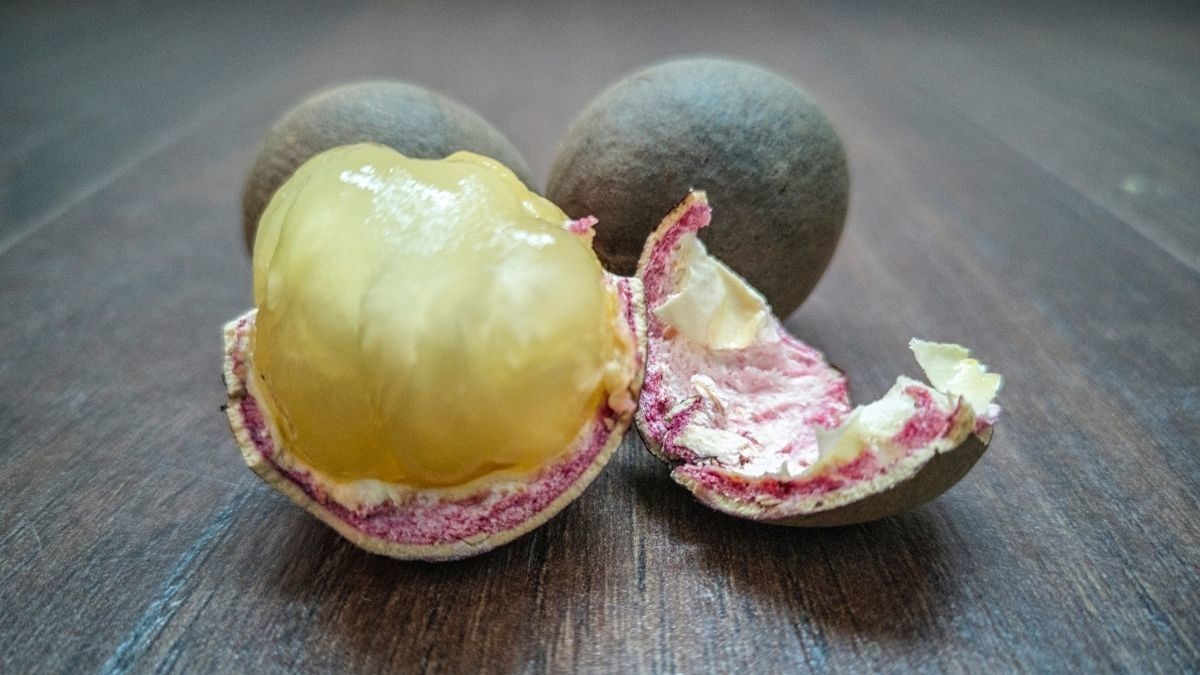 Manfaat Buah Matoa untuk Kecantikan Kulit