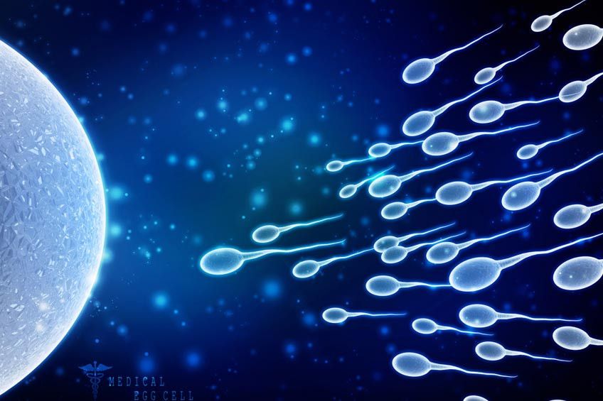 Benarkah Menelan Sperma Bisa Bikin Hamil?