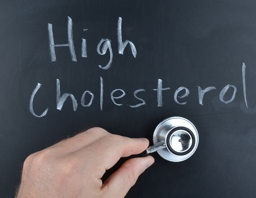 Pengendalian Kolesterol