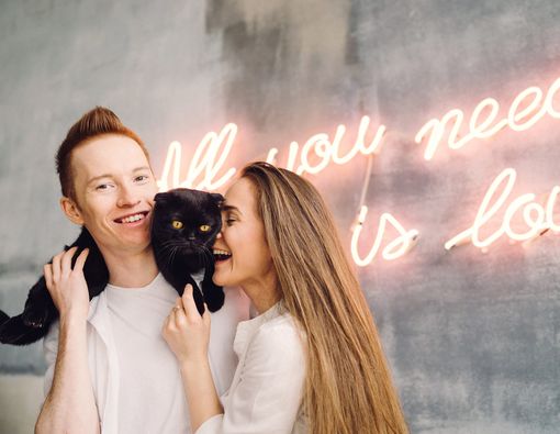 Selain Kucing, Ini Hewan Lain yang Bisa Tularkan Toksoplasma