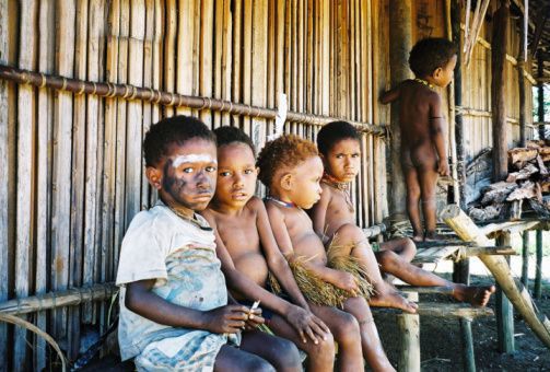 Papua Masih Terancam Malaria