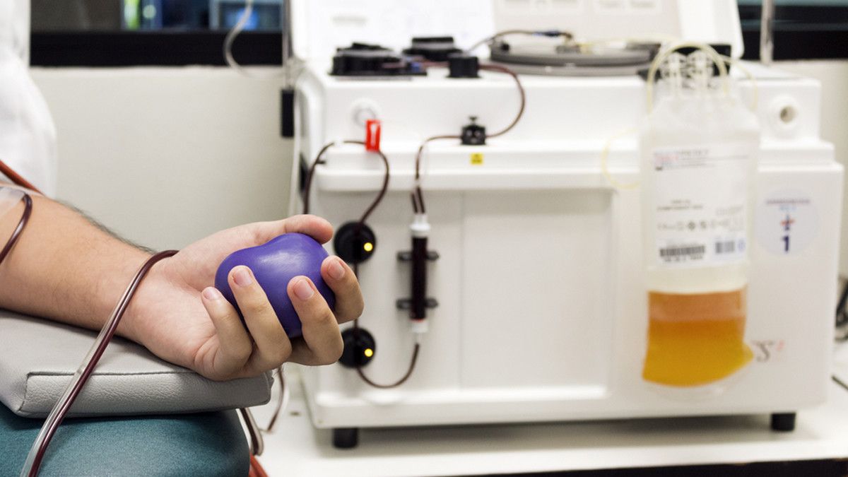 Donor Plasma Darah, Ini Manfaat dan Efek Sampingnya
