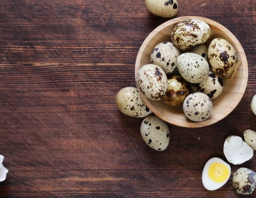 Benarkah Telur Puyuh Bisa Tingkatkan Kolesterol dalam Tubuh?