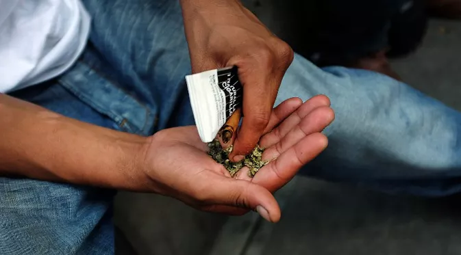 Berapa Lama Efek Ganja Bertahan dalam Tubuh?