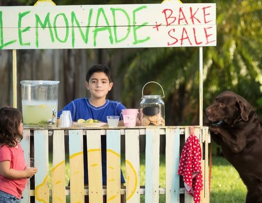 Kapan Si Kecil Dapat Memulai Bisnis? Ini Kata Psikolog