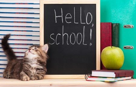 Memilih TK untuk Anak Berkebutuhan Khusus