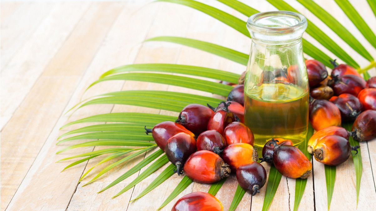 Pakai Minyak Kelapa Sawit untuk Bikin Kue, Benarkah Lebih Sehat?