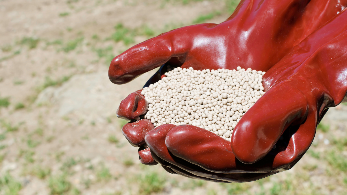 Kegunaan Amonium Nitrat