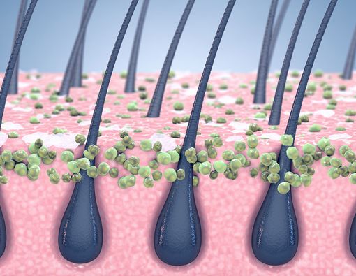 Bakteri Bisa Menempel di Rambut Meski di Rumah Saja, Ini Solusinya