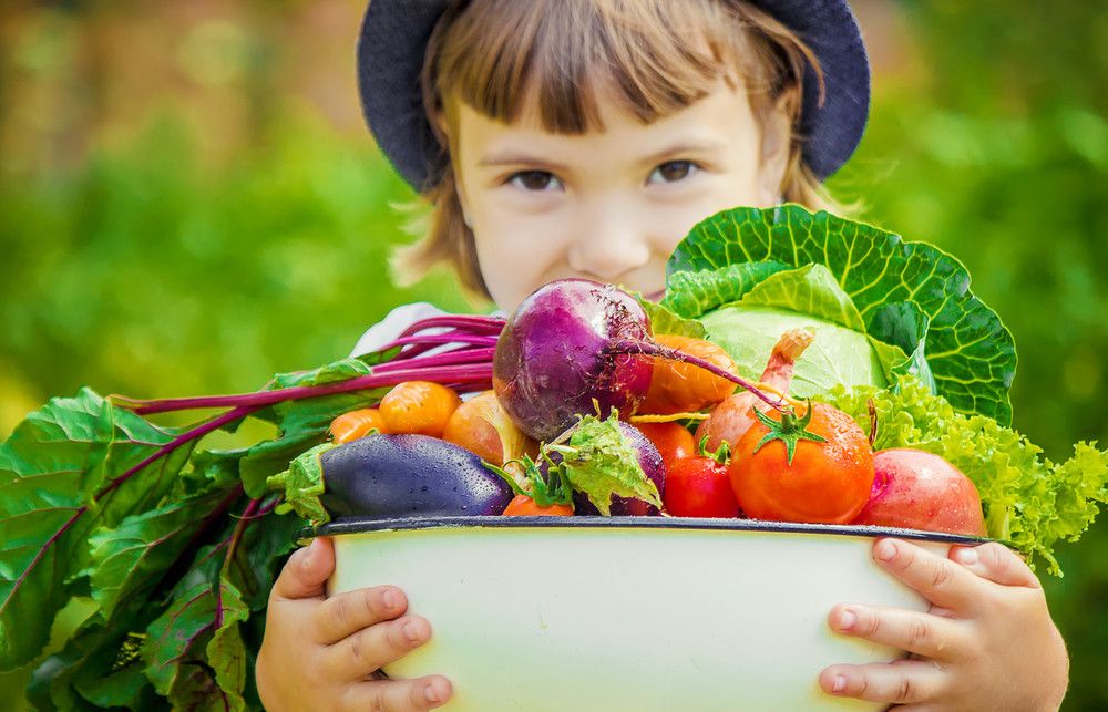 Daftar Makanan Tinggi Serat yang Baik untuk Anak