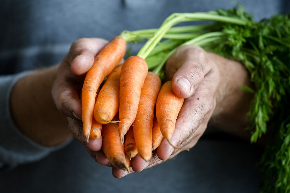 Begini Cara Kuman Menempel di Tubuh Anda