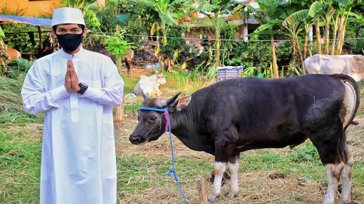Ini Aturan Penyembelihan Kurban saat Pandemi COVID-19