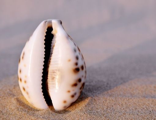 Hal yang Perlu Diketahui Seputar Pengelupasan Kulit Vagina