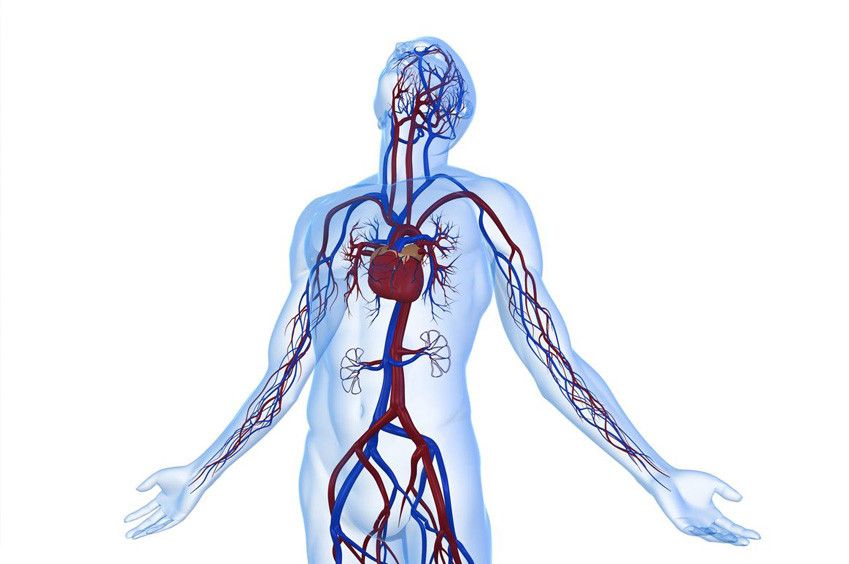 Sederet Manfaat Puasa bagi Kesehatan Tubuh