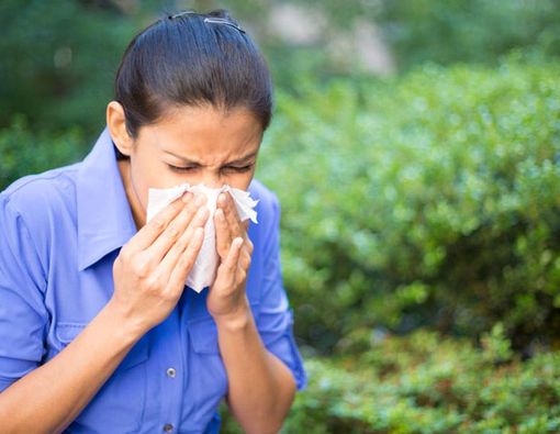 Arti di Balik Warna dan Tekstur Ingus