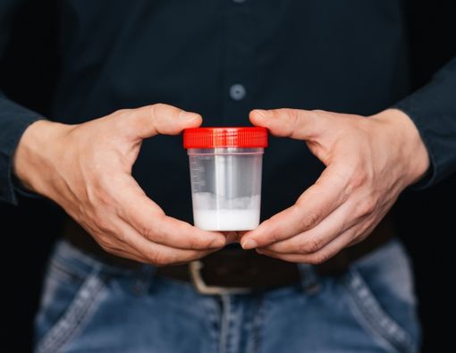 Menyingkap Rasa dari Air Mani Pria