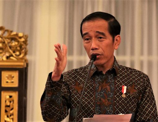 Jamu Temulawak Kunyit, Rahasia Bugar Presiden Jokowi