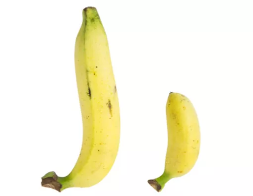 Sering Memikirkan Ukuran Penis, Hati-hati Sindrom Penis Kecil