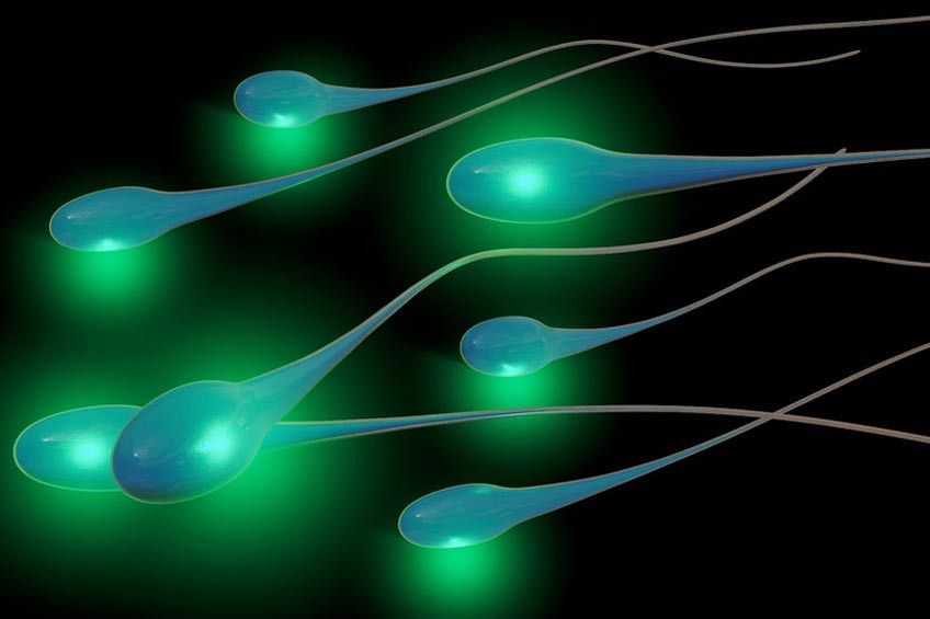 Mengenali Tanda-tanda Sperma Sehat