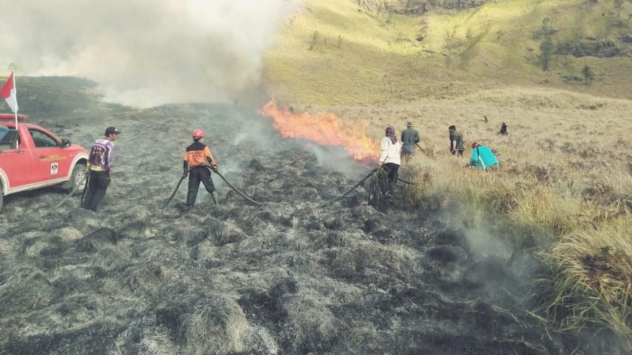 Bahaya Asap Kebakaran Hutan Bromo bagi Kesehatan