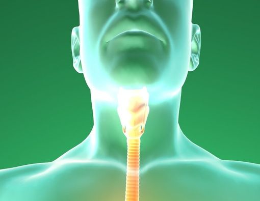 Mengenal Deretan Fungsi Faring pada Tubuh Manusia