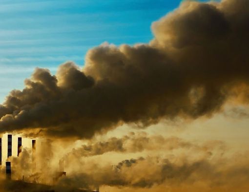 Benarkah Polusi Udara Picu Terjadinya Gagal Ginjal?