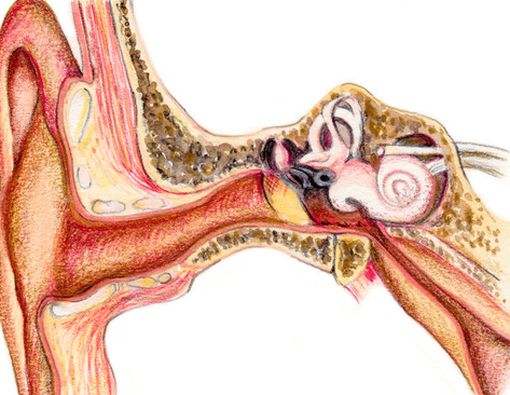 Kenali Gangguan Pendengaran Akibat Ledakan di Senayan