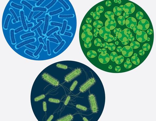 Mengenal Bakteri Superbugs dari Nadia Vega