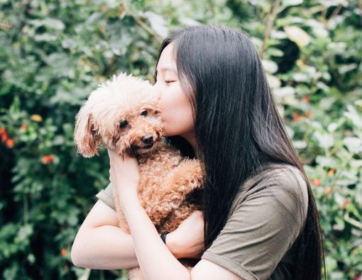 9 Cara Merawat Anjing agar Tetap Sehat dan Ceria