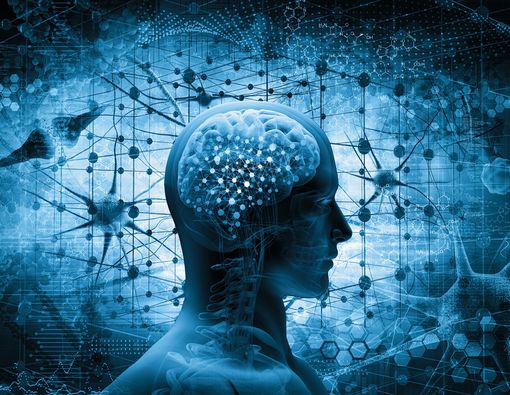 Benarkah Omega-3 Baik untuk Kesehatan Otak?