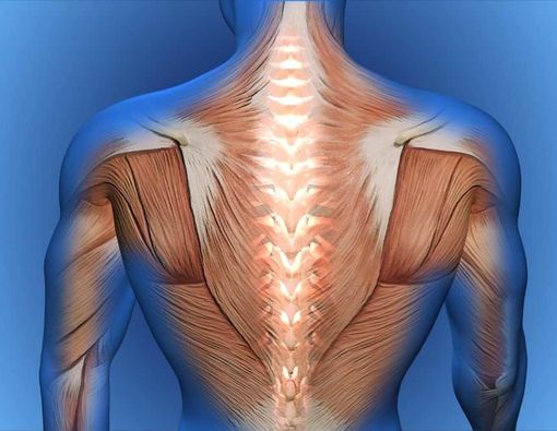 Kondisi Medis yang Bisa Picu Nyeri Punggung