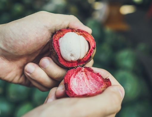 Benarkah Biji Buah Manggis Bisa Mengobati Penyakit?