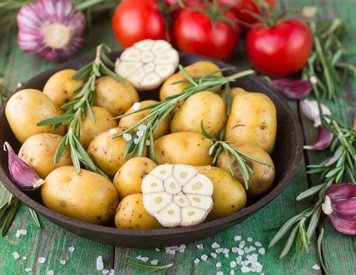 Mag Menyerang di Saat Penting? Makan Ini!