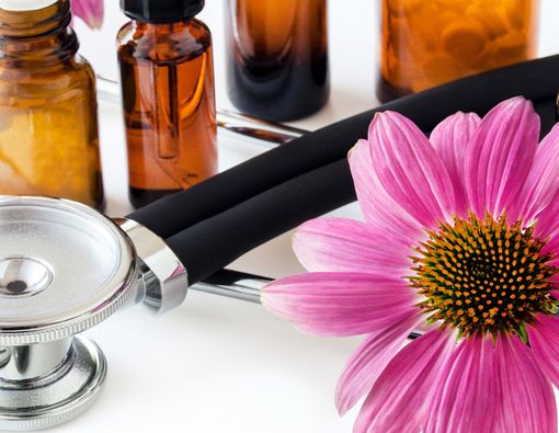 Mengenal Polinacea Apa Beda Manfaatnya dengan Echinacea Biasa?