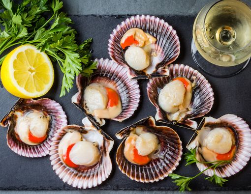 Kerang Laut Bisa Tingkatkan Gairah Seks, Apa Benar?