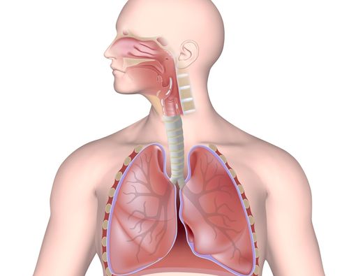 Sering Kemasukan Air Lewat Hidung, Picu Gangguan Paru?