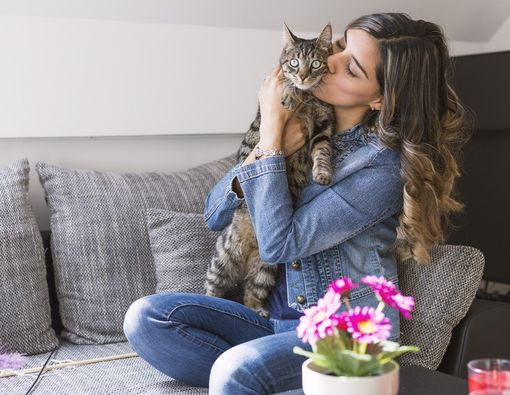 Pelihara Kucing Bisa Picu Toksoplasma?