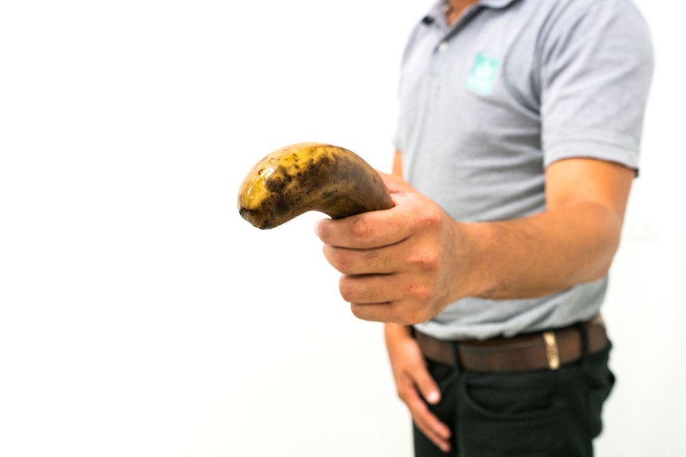 Penis Keluar Nanah, Kenali Penyebab dan Cara Mengatasinya (Bangkoker/Shutterstock)