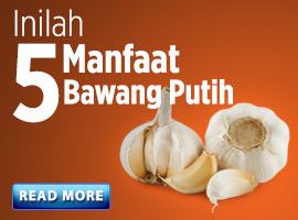 Inilah 5 Manfaat Bawang Putih