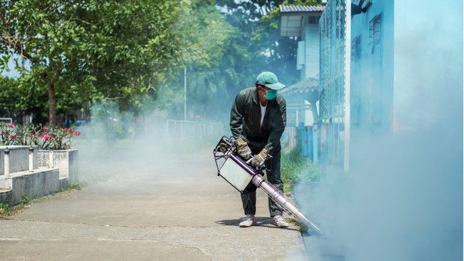 Asap Fogging Nyamuk, Adakah Dampaknya pada Kesehatan?