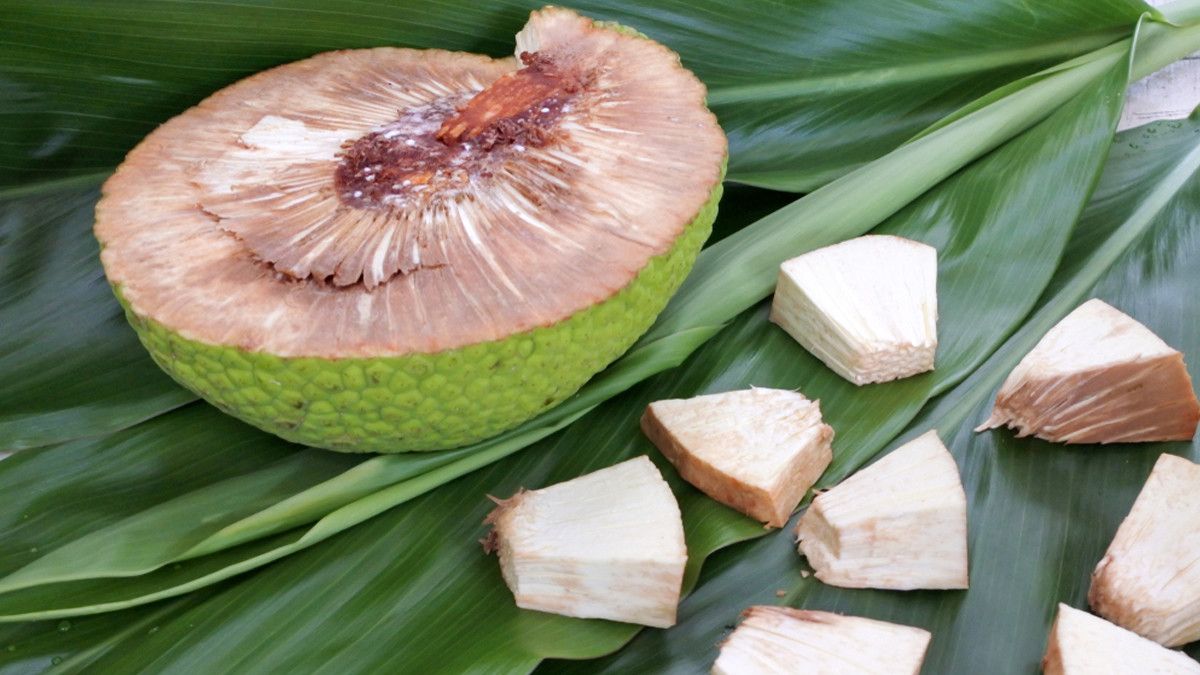 Benarkah Buah Sukun Bisa Bikin Perut Kenyang dan Tambah Energi?