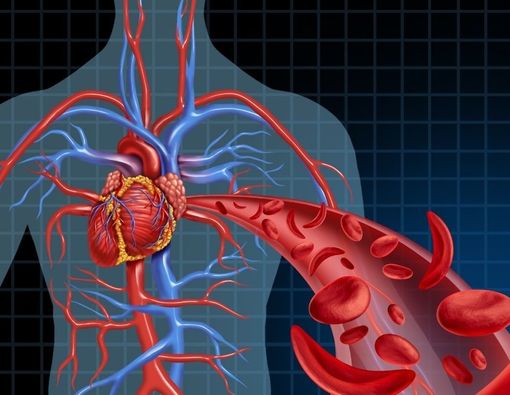 Penyintas COVID-19 Berisiko Alami Komplikasi Kardiovaskular