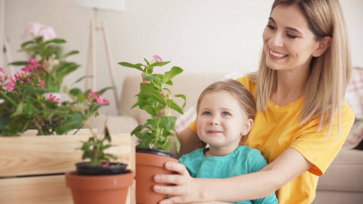 5 Manfaat Sehat Meletakkan Tanaman di Dalam Ruangan