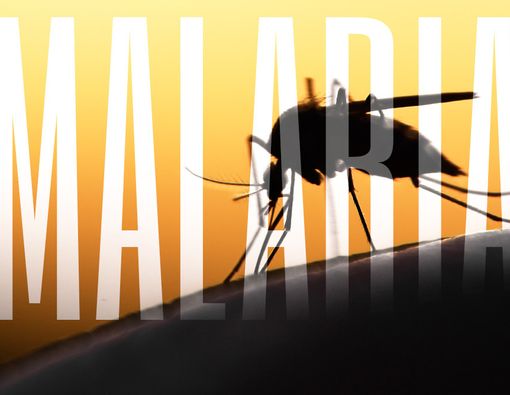 Jangan Percaya 5 Mitos tentang Malaria Ini