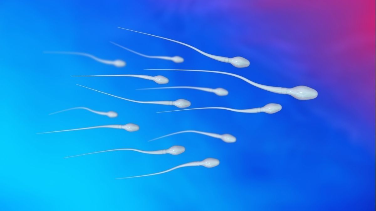 Cairan Sperma Mengandung Banyak Kalori dan Protein, Benarkah?