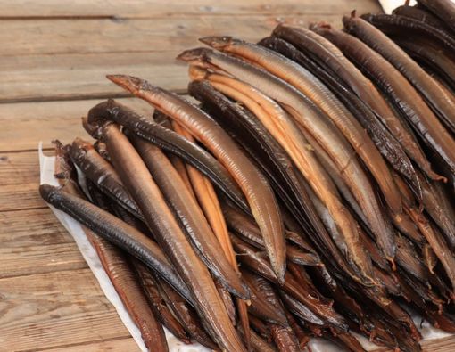 9 Manfaat Belut bagi Kesehatan, Sumber Protein yang Kaya Nutrisi!