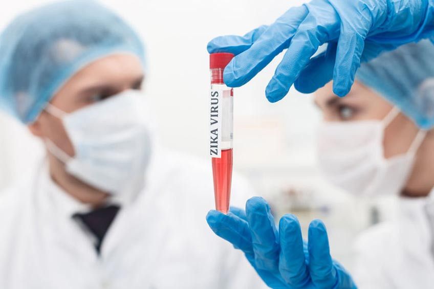 Virus Zika, Siapa Takut?